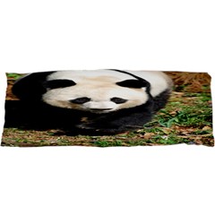 Giant Panda Samsung Galaxy Sl I9003 Hardshell Case by AnimalLover