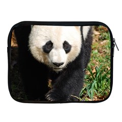 Giant Panda Apple Ipad Zippered Sleeve by AnimalLover