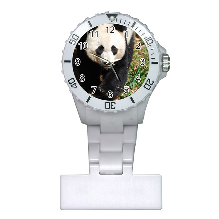 Giant Panda Nurses Watch