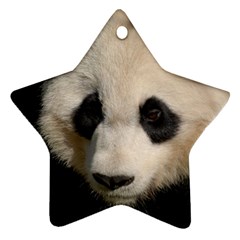 Adorable Panda Star Ornament