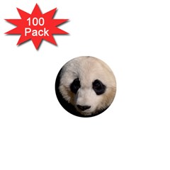 Adorable Panda 1  Mini Button Magnet (100 Pack) by AnimalLover