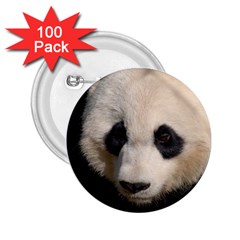 Adorable Panda 2 25  Button (100 Pack) by AnimalLover