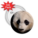 Adorable Panda 2.25  Button (100 pack) Front