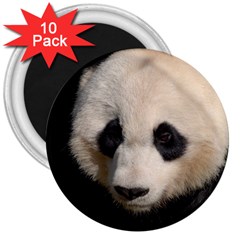 Adorable Panda 3  Button Magnet (10 Pack) by AnimalLover