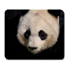 Adorable Panda Large Mouse Pad (rectangle) by AnimalLover