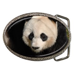 Adorable Panda Belt Buckle (oval) by AnimalLover