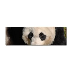 Adorable Panda Bumper Sticker by AnimalLover