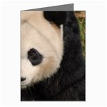 Adorable Panda Greeting Card (8 Pack) Left