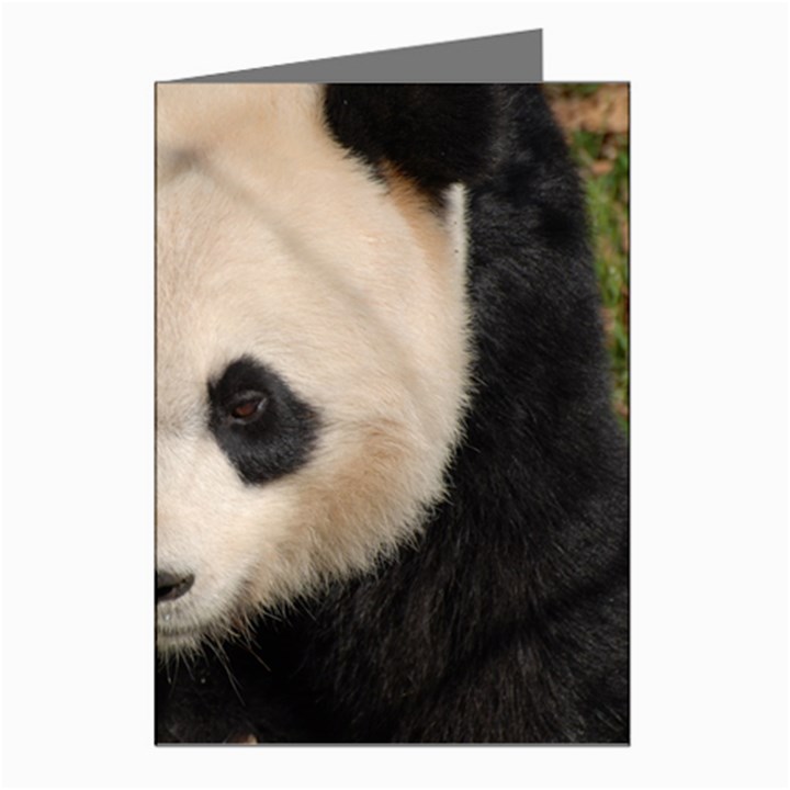 Adorable Panda Greeting Card (8 Pack)