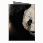 Adorable Panda Greeting Card (8 Pack) Right