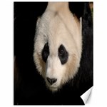 Adorable Panda Canvas 12  x 16  (Unframed) 11.86 x15.41  Canvas - 1