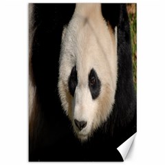 Adorable Panda Canvas 12  X 18  (unframed) by AnimalLover