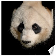 Adorable Panda Canvas 16  X 16  (unframed) by AnimalLover