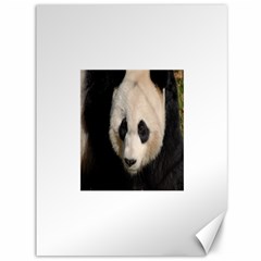 Adorable Panda Canvas 36  X 48  (unframed) by AnimalLover