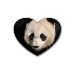 Adorable Panda Drink Coasters 4 Pack (heart) 