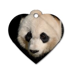 Adorable Panda Dog Tag Heart (one Sided)  by AnimalLover