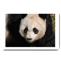 Adorable Panda Large Door Mat by AnimalLover