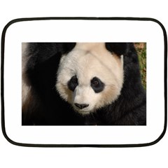 Adorable Panda Mini Fleece Blanket (two Sided) by AnimalLover