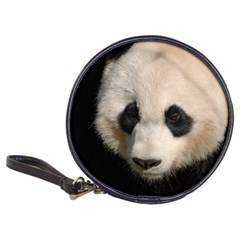 Adorable Panda Cd Wallet