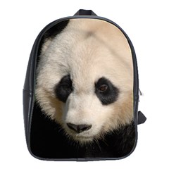 Adorable Panda School Bag (large) by AnimalLover