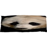 Adorable Panda Samsung Galaxy SL i9003 Hardshell Case Front