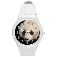 Adorable Panda Plastic Sport Watch (medium) by AnimalLover