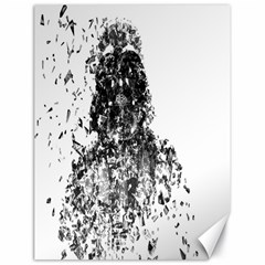 Darth Vader Canvas 18  X 24  (unframed) by malobishop