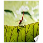 Dragonfly Canvas 8  x 10  (Unframed) 8.15 x9.66  Canvas - 1