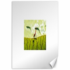 Dragonfly Canvas 12  X 18  (unframed)