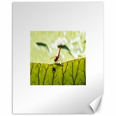 Dragonfly Canvas 11  X 14  (unframed)