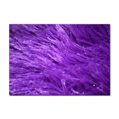 Purple Tresses A4 Sticker 100 Pack