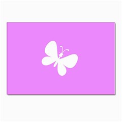 Butterfly Postcard 4 x 6  (10 Pack)