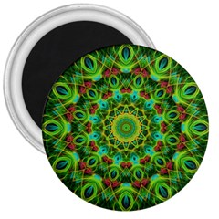 Peacock Feathers Mandala 3  Button Magnet by Zandiepants