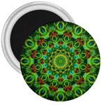 Peacock Feathers Mandala 3  Button Magnet Front