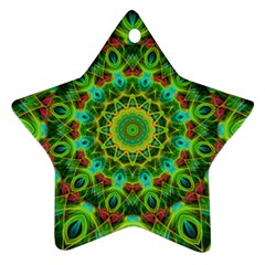 Peacock Feathers Mandala Star Ornament (two Sides) by Zandiepants