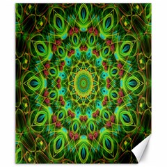 Peacock Feathers Mandala Canvas 20  X 24  (unframed) by Zandiepants