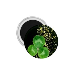 Clover 1 75  Button Magnet