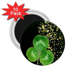 Clover 2 25  Button Magnet (10 Pack)