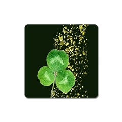 Clover Magnet (square)