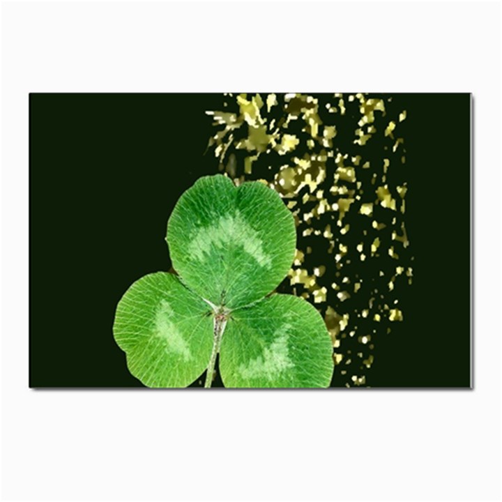 Clover Postcard 4 x 6  (10 Pack)