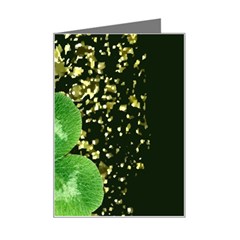 Clover Mini Greeting Card