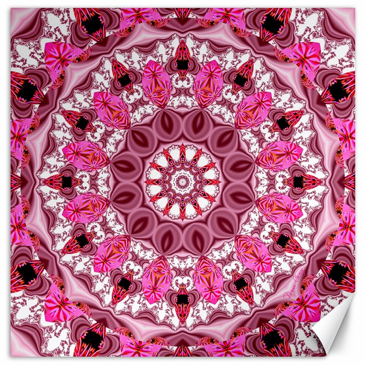 Twirling Pink, Abstract Candy Lace Jewels Mandala  Canvas 12  x 12  (Unframed)