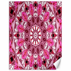 Twirling Pink, Abstract Candy Lace Jewels Mandala  Canvas 12  X 16  (unframed)