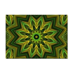 Woven Jungle Leaves Mandala A4 Sticker 100 Pack by Zandiepants