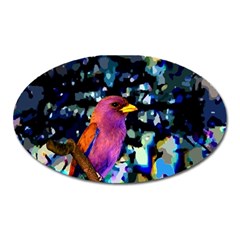 Bird Magnet (oval)