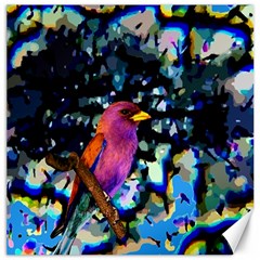 Bird Canvas 12  X 12  (unframed)