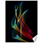 Peacock Symphony, Abstract Rainbow Music Canvas 12  x 16  (Unframed) 11.86 x15.41  Canvas - 1