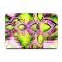 Raspberry Lime Mystical Magical Lake, Abstract  Small Door Mat by DianeClancy