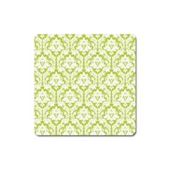 White On Spring Green Damask Magnet (square) by Zandiepants