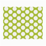 Spring Green Polkadot Glasses Cloth (Small) Front